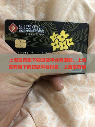 上海富有旗下的贷款平台 上海富有旗下的贷款平台