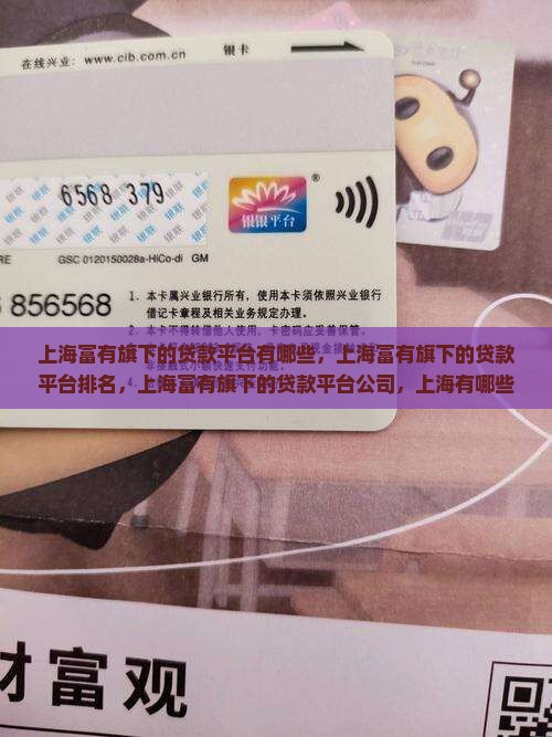 上海富有旗下的贷款平台 上海富有旗下的贷款平台