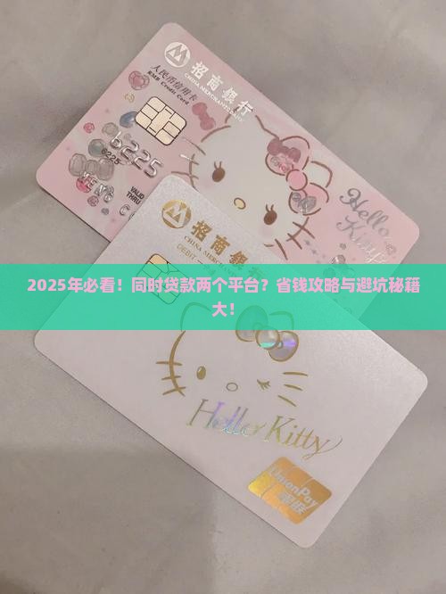 同时在两个平台怎么贷款
