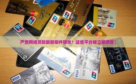 严查网络贷款最新案件