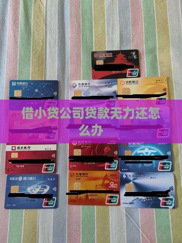 借小贷公司贷款无力还