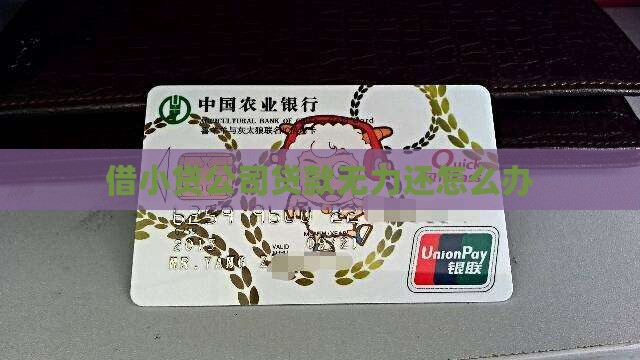 借小贷公司贷款无力还