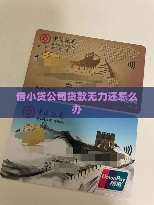 借小贷公司贷款无力还