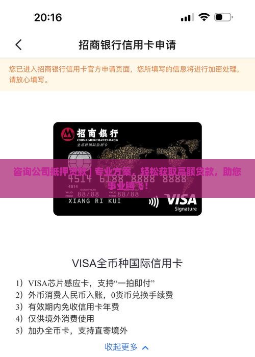 咨询公司抵押贷款