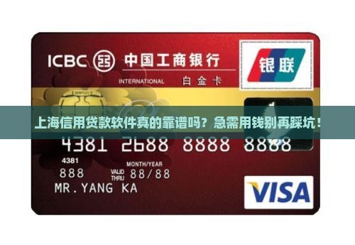上海信用贷款软件