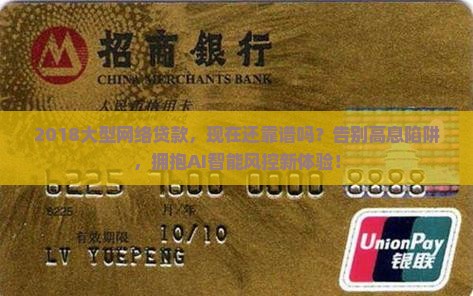 2018大型网络贷款