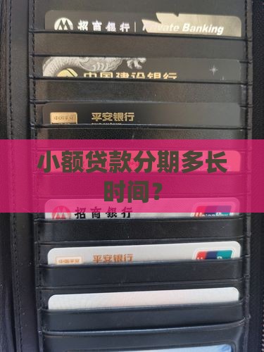 小额贷款分期多长时间