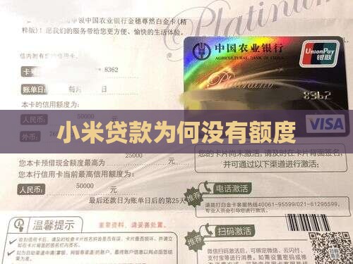 小米贷款为啥没有额度