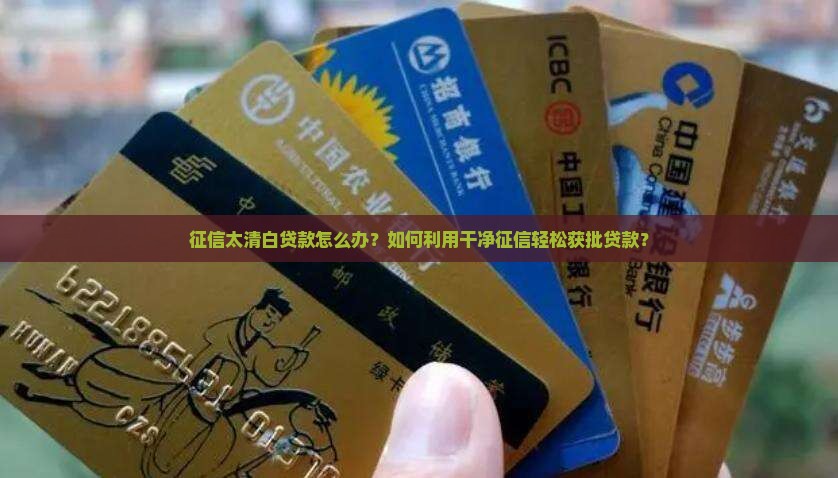 征信太清白贷款怎么办