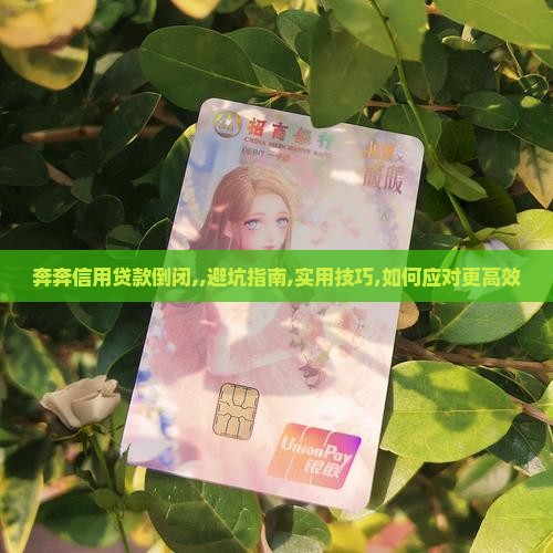 奔奔信用贷款倒闭