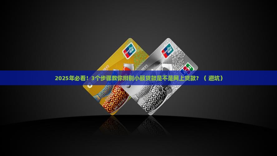 小额贷款是网上贷款吗