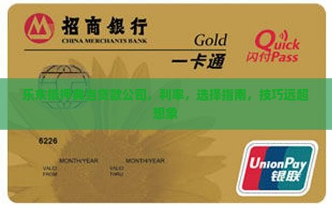 乐东抵押典当贷款公司 乐东抵押典当贷款公司