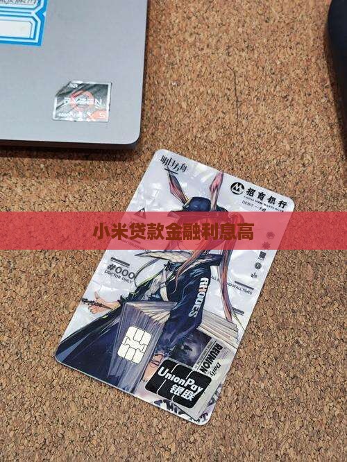 小米贷款长利息