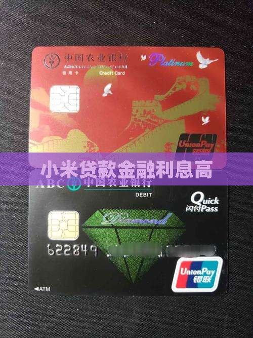 小米贷款长利息