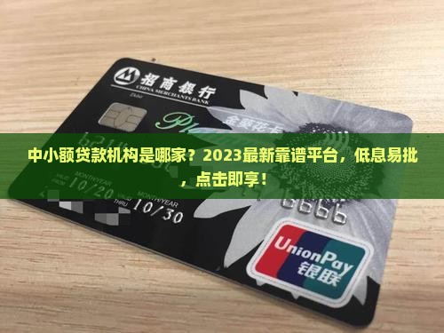 中小额贷款机构是哪家
