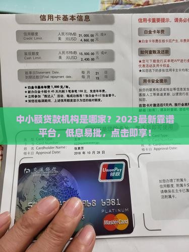 中小额贷款机构是哪家