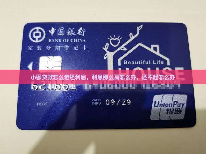 小额贷款怎么老还利息