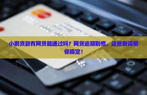 小鹏贷款有网贷能通过吗