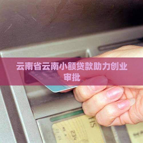 云南小额贷款审批