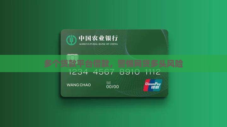 多个贷款平台借款