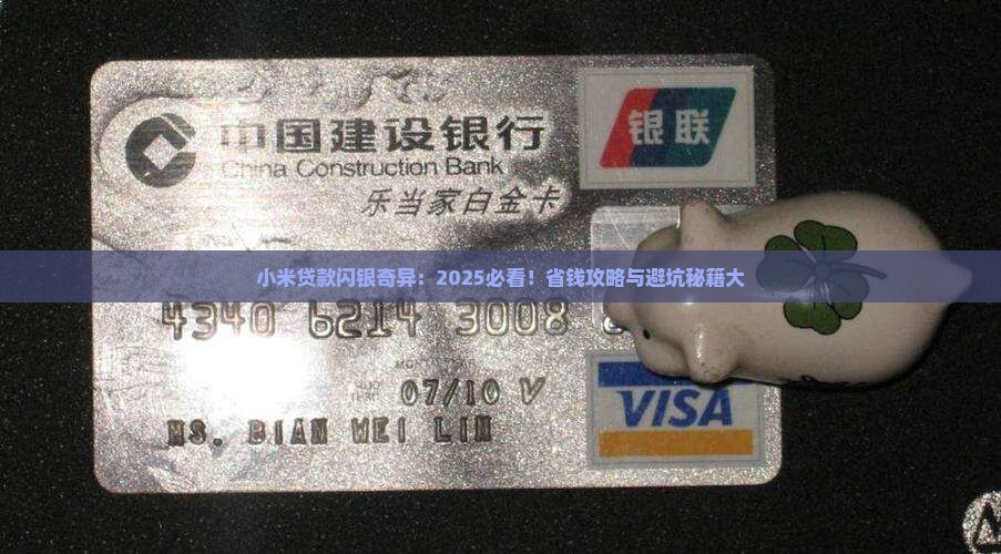 小米贷款闪银奇异