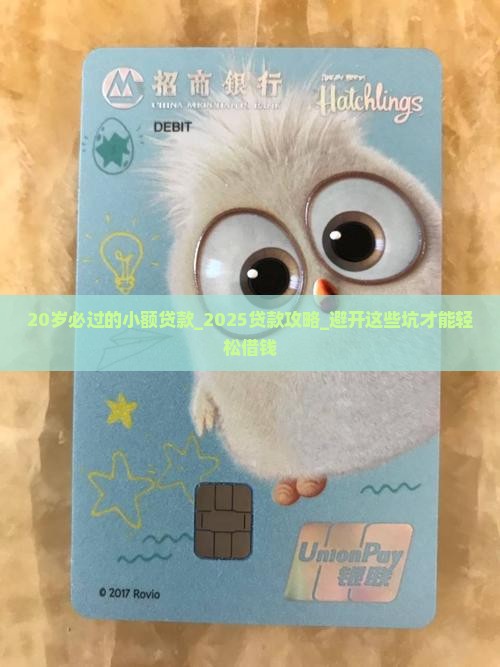 20岁必过的小额贷款