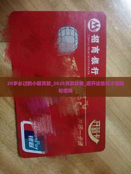 20岁必过的小额贷款