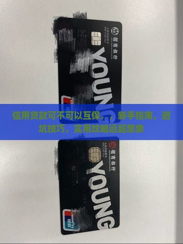信用贷款可不可以互保