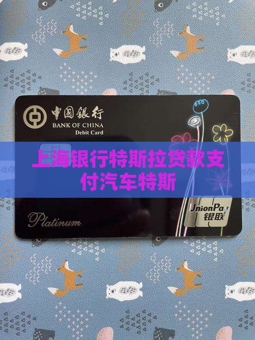 上海银行特斯拉贷款支付