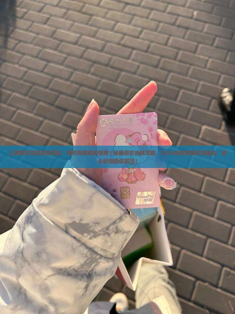 上海网贷贷款是真是假