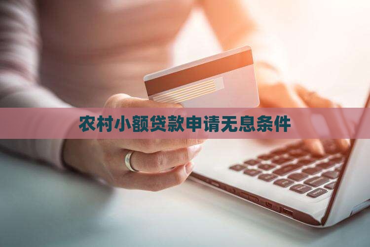 农村免息小额贷款条件