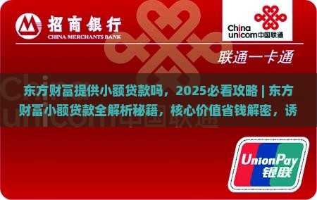 东方财富提供小额贷款吗