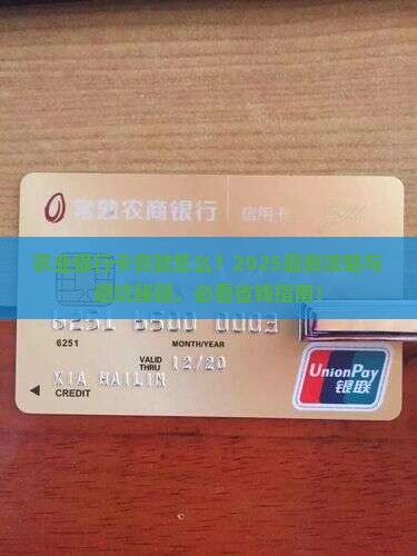 农业银行的卡贷款