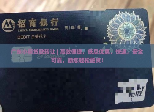 广东小额贷款转让