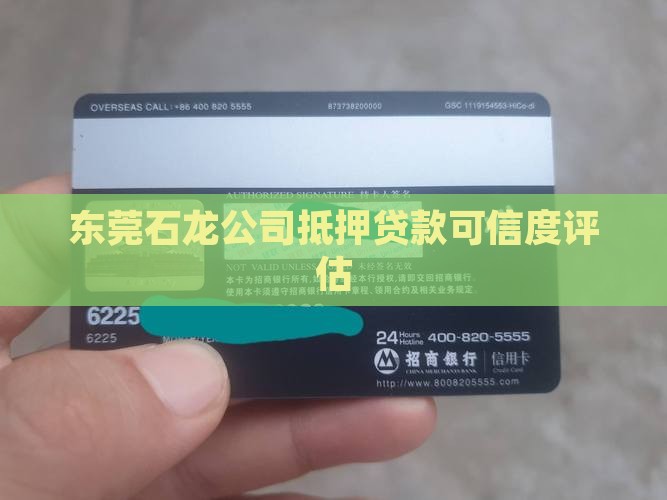 东莞石龙公司抵押贷款可信度评估
