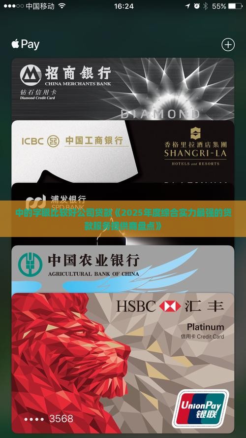 中的字眼比较好公司贷款《2025年度综合实力最强的贷款服务提供商盘点》