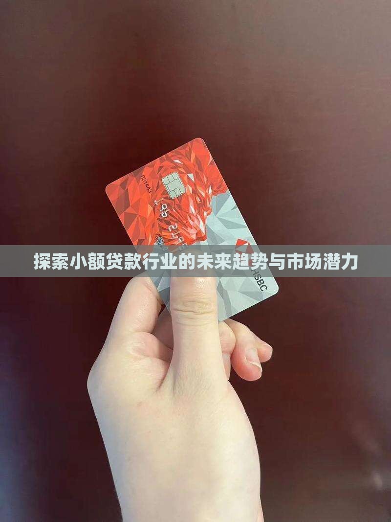 探索小额贷款行业的未来趋势与市场潜力
