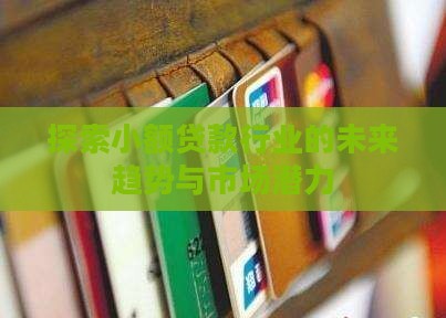 探索小额贷款行业的未来趋势与市场潜力
