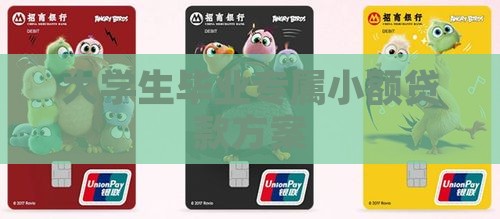 大学生毕业专属小额贷款方案