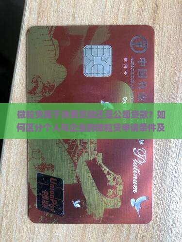 微粒贷算消费公司贷款吗