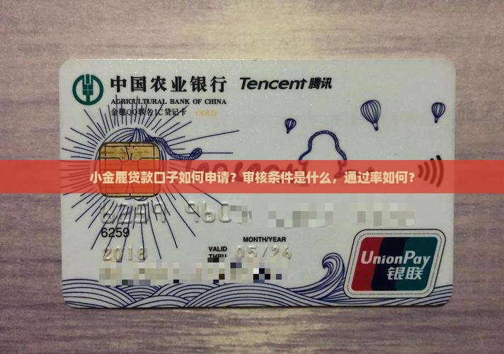 小金鹿贷款口子