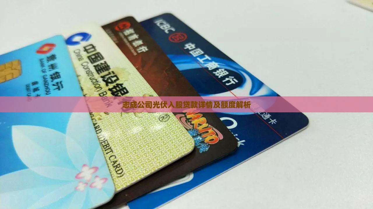 志成公司光伏入股贷款