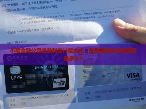 小额金融公司贷款利息