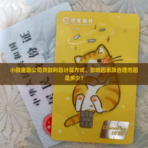 小额金融公司贷款利息