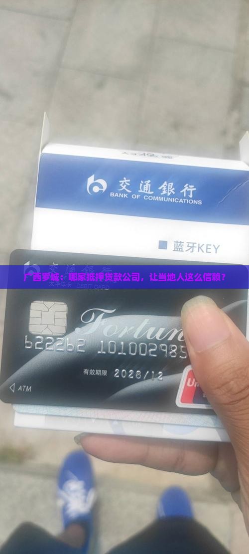 广西罗城抵押贷款公司