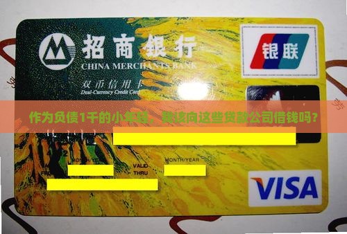 1千贷款的公司
