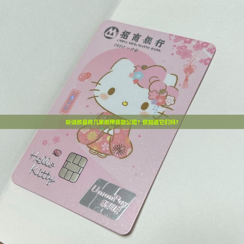 攸县抵押贷款公司有哪些