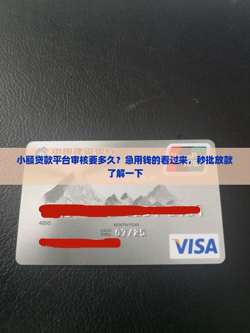 小额贷款平台审核要多久
