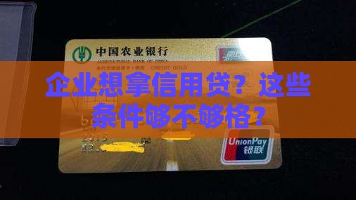 企业信用贷款发放条件