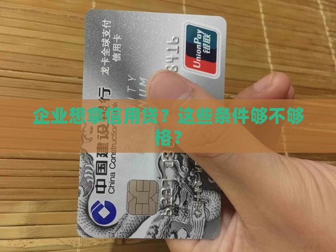 企业信用贷款发放条件